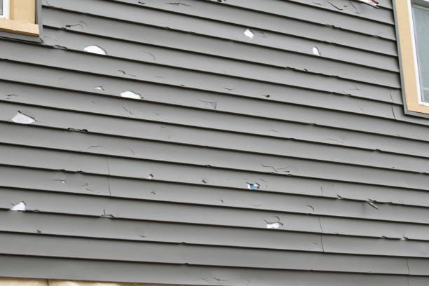 Best Siding for Commercial Buildings  in USA